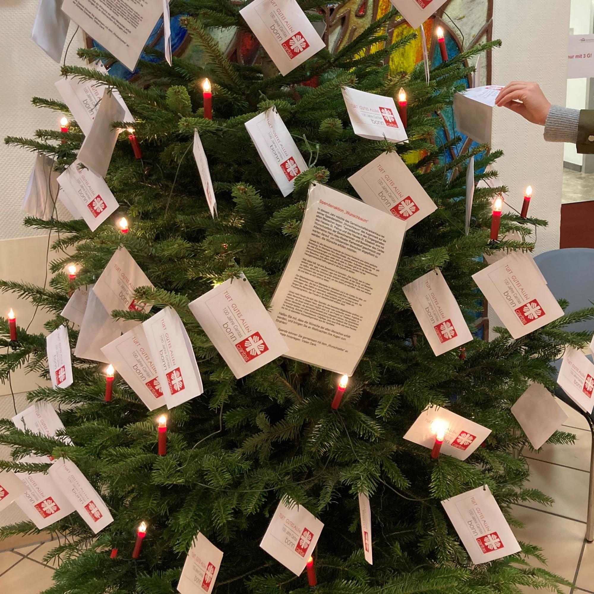 Rueckblick_2022_Wunschbaum_Caritas_Baum